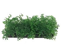 Penn-Plax Aqua-Scaping Lot de 5 Plantes Vertes