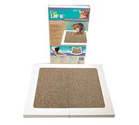 Penn-Plax Catch&Scratch Griffoir pour Chat