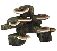 Penn-Plax Deco-Replicas Tronc d'arbre avec étagère, Champignons, décoration d'aquarium, sans Danger pour Les Aquariums d'eau Douce et d'eau de mer, Taille S