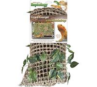 Penn Plax Reptology Lizard avec Vigne pour Dragon Barbe Iguane et Autres Reptiles 500 g