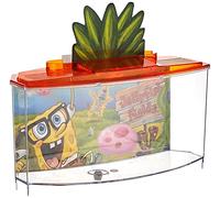 Penn Plax Spongebob Betta Tank 3, 18 L 27, 3x16, 5x8, 8 Cm pour Aquariophilie