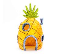 LA MAISON ANANAS POUR VOTRE AQUARIUM
