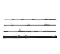 Penn Regiment IV Boat Travel Rod, Saltwater Angler Fishing Rod for Sea Fish Cod, Eel, Bass, Pollock, Mackerel, Shark, Strong Leightweight & Versatile Holiday Rod, Silver, Fast Ambidextrous Carbon Rod