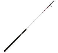 Penn Squadron II Pilk 2,72m/100-160g Pilk- Dandinette Salzwasserrute