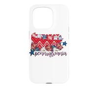 Pennsylvanie Floral Chevron Plaid Regional Heritage Art Coque pour iPhone 15 Pro