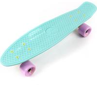 Pennyboard MTR 56 cm AL truck mint-pink