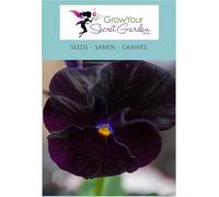 Pensée Black Cristal - noir