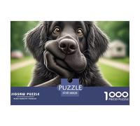 Pensée de Chien Noir Carton De Qualité Jeu Relaxant, Idéal pour Se Détendre, Réduire La Pression Et Profiter De La Vie 38x26cm/1000pcs