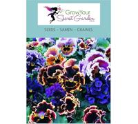 Pensée Rococo - petite merveille dans le jardin