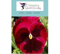 Pensée Rouge - petite merveille dans le jardin