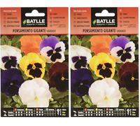 PENSEE VARIEE GEANTE (Lot de 2)