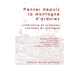 Penser depuis la montagne d'ordures: Littérature et sciences sociales en dialogue