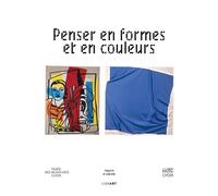 Penser en formes et en couleurs - Erik Verhagen - Lienart - broché - Monographie