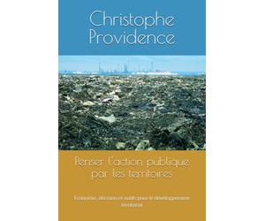 Penser l'action publique par les territoires: Économie, décision et outils pour le développement territorial