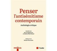 Penser l'antisémitisme contemporain - Anthologie critique Bruno Quélennec (Auteur), Ahmed Salima Naït (Auteur), Ahmed Salima Naït (Traduction), Laurent Cantagrel (Traduction), Memphis KRICKEBERG (Trad