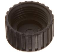 Pentair 32185-7074 Égoutter Cap pour STA-Rite Piscine ou Spa Hors-Terre Filtre