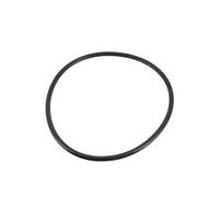 JOINT COUVERCLE PREFITLRE ULTRAFLOW R39300600 pour pompe de piscine