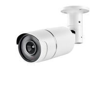 Pentatech 24224 Caméra factice avec LED Clignotante