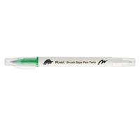 Pentel Arts Brush Sign Pen Twin SESW30C Lot de 10 feutres pinceau bi-pointe, Pointe large et fine, Acquarellable, Vert clair