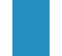 Pentesters Logbook Discrete Version: Field Notes for Cybersecurity Professionals