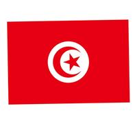 Peosaard Drapeau Tunisien en Polyester, Drapeau Tunisien, bannières nationales décoratives de Jardin en Polyester pour événements Sportifs 150x90cm, décoration de Jardin tunisienne