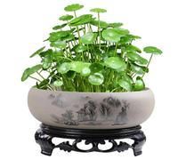 Peosaard Lotus Bowl Planter Paysage Modèle Céramique Lotus Bowl 7x3in Planteur hydroponique Rond et Peu Profond avec Base pour Le lys à Eau