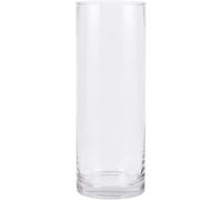 PEPAXON Vase en verre pour fleur Vase transparente Cylindre haut Vase claire pour décoration de table (10x30cm)