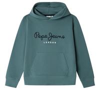 Pepe Jeans Sweat à Capuche Art Garçon, Vert (Hydro Green), 8 Ans