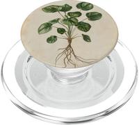 Peperomia Vintage Illustration Scientifique Plante PopSockets PopGrip pour MagSafe