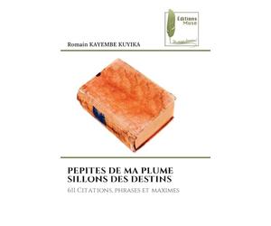 Pepites de Ma Plume Sillons Des Destins