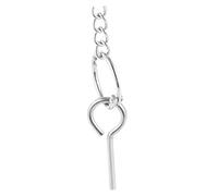 PEPLAYTAL 1Pièce Porte Suspendu Acier Inoxydable pour Perroquets de Fourchette à Fruits pour Oiseaux pour Autres Petits Oiseaux