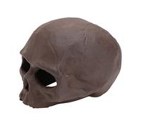 PEPLAYTAL 1pièce Pot De Décoration pour Aquarium Cachette Forme De Crâne pour Poissons Et Crevettes Accessoire De Paysage Aquatique Couleur Marron
