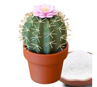 Pepper Shakers - Cute Cactus Plant Shaker Set For Kitchen Table - Salt Container | Mini Decorative Bottles | Adorable Design Seasoning Container For Dining Room, Picnic Or Home