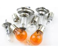 PERALINE - Ampoule R10W T16 graisseur 12V (lot de 2) - Réf. 853