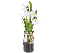 Perce-neige décoratif verre blanc 22,5cm 2pc Fleurs artificielles