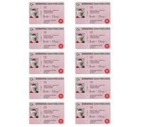 Percence de Conduite du Père Noël, Père et permis de vol Noël Percence Conduite Volante Perdue pour Ornement 10pcs Style6, Card Card