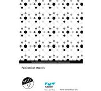 Perception et Modèles Pierre-Michel Riccio (Auteur)