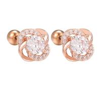 Perceuse Cadeaux Organisateur Trousse Moule Bijoux Flower Earrings Love Earrings Rose Gold Perçant Colle Bouteille Kits (C, One Size)