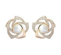 Perceuse Nettoyeur Kits Bijoux For Women High End Personalized Versatile Studded Rose Earrings Exaggerated Earrings Kits Fournitures Accessoires Bijoux (Gold, One Size)