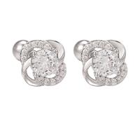 Perceuse Outil Nettoyeur Kits Plated Women's Inlaid Flower Earrings Love Earrings Rose Gold Nettoyeur Accessoires Ultrasonique Bijoux (B, One Size)