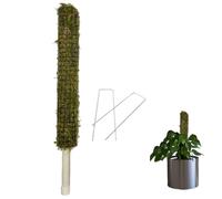 Perche à mousse auto-arrosage - Bâton de mousse véritable fait à la main pour en pot, treillis parfait pour les grandes grimpantes d'intérieur