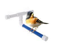 Perche de diaption d'oiseaux - Support de douche pour perroquets | Penca d'oiseau de douche de fenêtre avec tasse d'aspiration | Rack de montage mural, accessoires pour la cage à perroquets jouets de