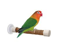 Perche de fenêtre pour Les Oiseaux, Perche d'oiseau de Tasse d'aspiration, Stand de Formation de Perruche, Portable Cacatoo Macaw Bird Cage Accessory Aspiration Perch Perch Perch pour Les Fournitures