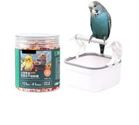Perche d'oiseau de table - support de jeu portable de bureau | Jouet de cage à oiseaux | Stand de perche d'oiseau | Stand de formation des oiseaux | Support de perche d'oiseau de table | Perche gym po