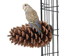 PERCHINE - Accessoire pour Cage diperroquet, bâton de broyage Portable | PAATION PARTHEET FUSCAGE PACIAL Naturel, Support pour Perche avec cône