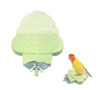 Perchoir a Bec pour Oiseaux,Plateforme a Mâcher a Texture Alvéolée pour Perruches,idéale pour Cages a Oiseaux,Structures d'escalade et Les Aires de Jeux pour Petits Animaux