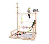 Perchoir à oiseaux pour perroquets, calopsittes avec échelle, jouet à mâcher, tasses d'alimentation, exercice et jeu pour oiseaux