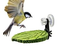 Perchoir À Oiseaux - Support à Ventouse de Repos pour Oiseau - Perche Calopsitte Antidérapante | Adapté Aux Perroquet, Perruche, Calopsitte, Cacatoès, Inséparable, Canari Et Pinson