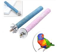 Perchoir amusant pour perroquet, perroquet, mâcher, griffe, bâton de meulage pour cage à oiseaux, perchoir debout, fournitures pour animaux de compagnie, développement durable, traitement durable