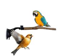 Perchoir De Douche pour Oiseaux Support Perroquet Réglable Interactif | Perche Fenêtre Naturelle pour Oiseau Pour Ara Perruche Inséparable Bain Intérieur